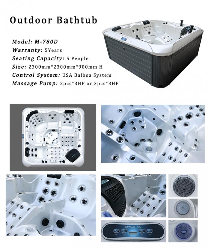 Baquets extérieurs de station thermale de massage de baquet chaud de station thermale de Jacuzzii de station thermale de bien-être pour 6 la personne 1