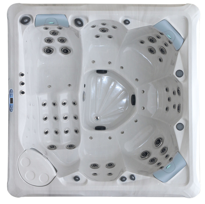Une baignoire de luxe avec un bain à remous et un spa hydraulique