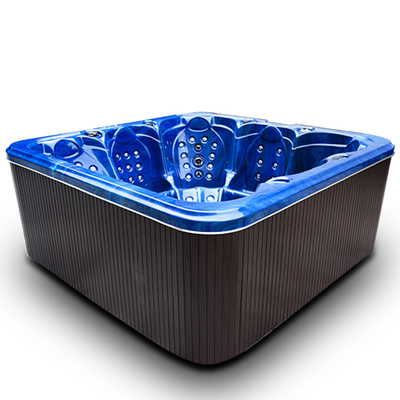 baignoire extérieure de station thermale de tourbillon de baquet chaud de massage de 2.2m pour 6 personnes