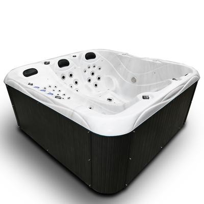 Haut grand salon arrière exclusif Seat de Hot Tub With 2 de concepteur