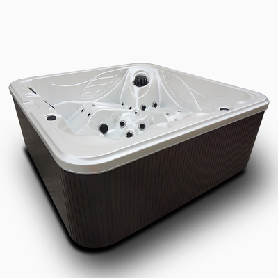 Baquet chaud de station thermale de tourbillon extérieur libre multi de fonction de jardin