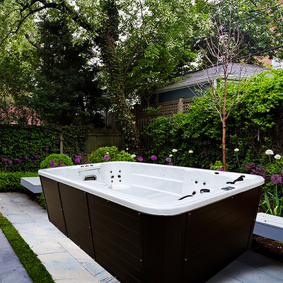 Piscine sans fin extérieure d'expérience de bain de haute performance avec la puissance thérapeutique