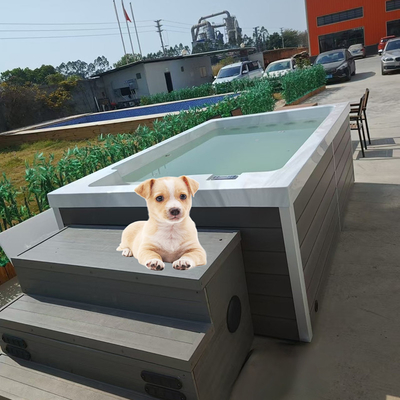 Piscine acrylique pour chiens pour jouer à l'eau